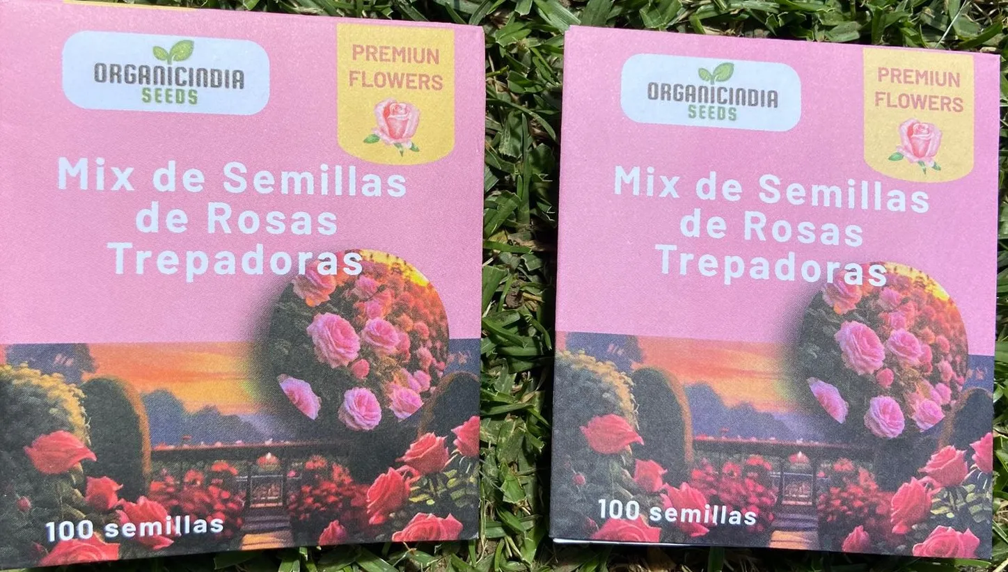Rosas Trepadoras X2